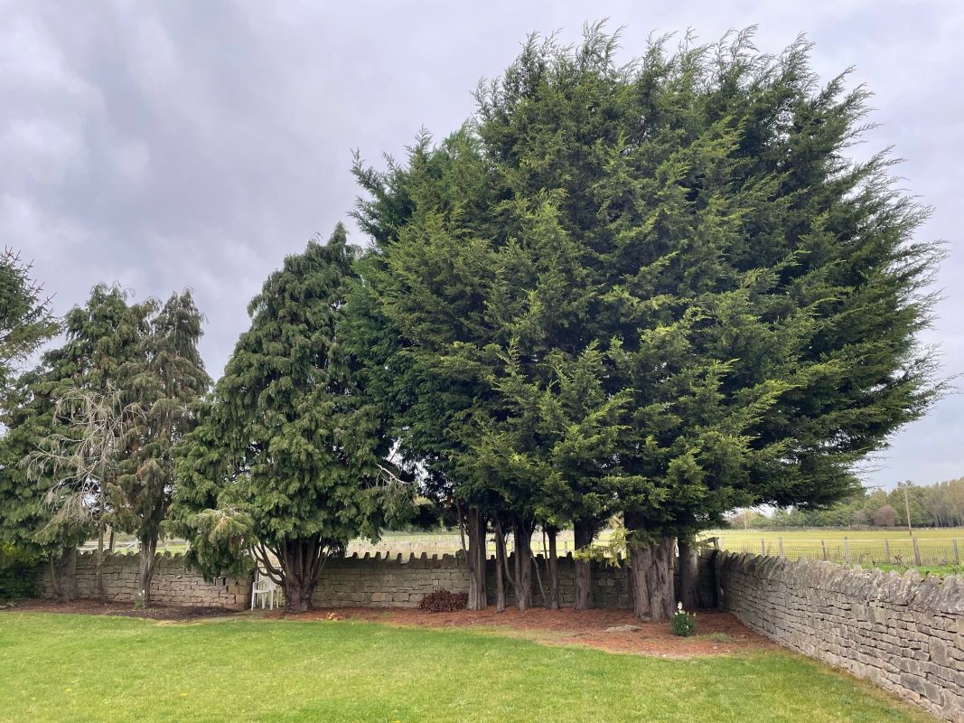 Lakeside, Cottage, Wallingwells, Worksop, Nottinghamshire, S81 8DA
