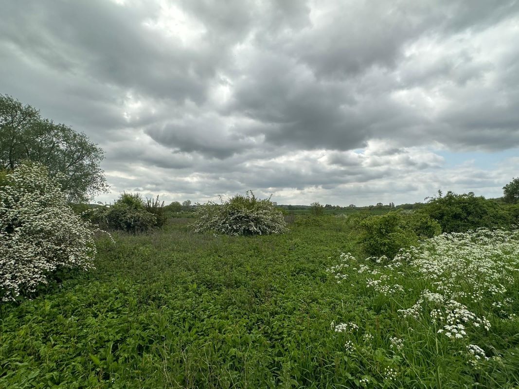 POSTPONED Plot & Access Track, Trent Side, Barton in Fabis, Nottinghamshire, NG11 0BL