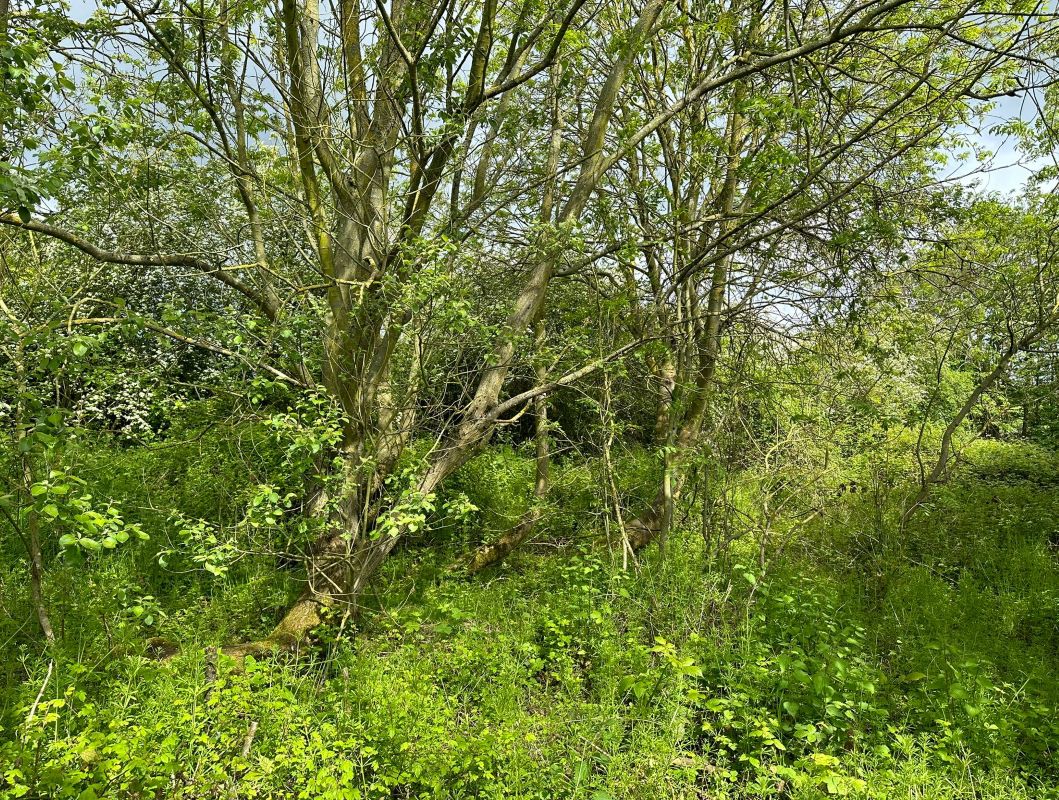 332 Spring Lane, Lambley, Nottingham, NG3 5RQ