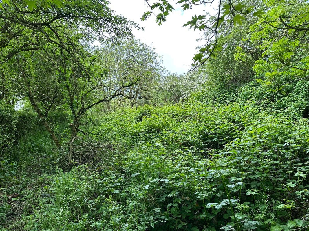 332 Spring Lane, Lambley, Nottingham, NG3 5RQ