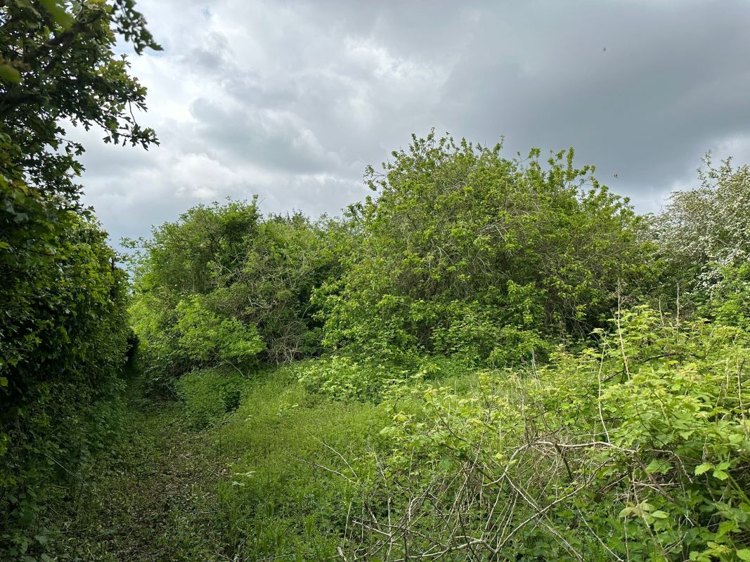 332 Spring Lane, Lambley, Nottingham, NG3 5RQ