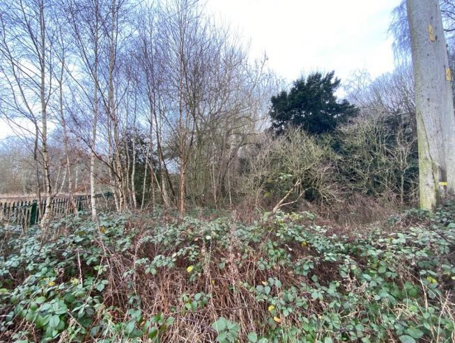 Woodland Land off Cocking Hill, Boughton, Newark, Nottinghamshire, NG22 9LB