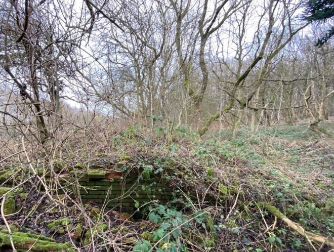 Woodland Land off Cocking Hill, Boughton, Newark, Nottinghamshire, NG22 9LB