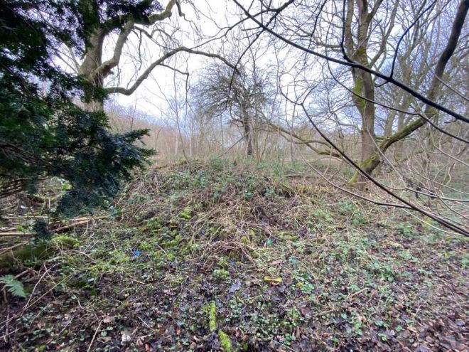Woodland Land off Cocking Hill, Boughton, Newark, Nottinghamshire, NG22 9LB