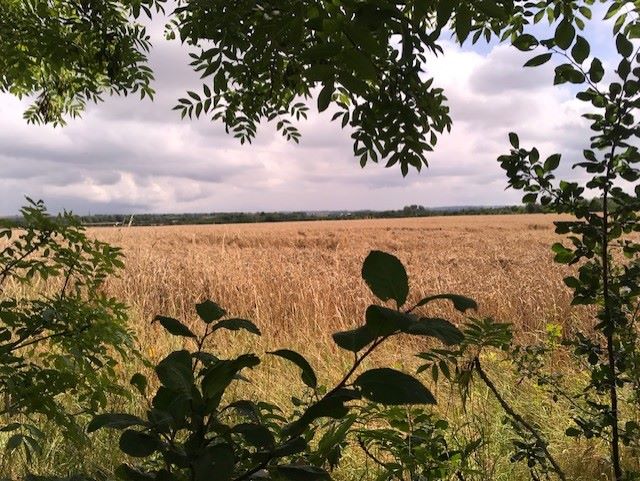 Oak Tree Barn, Sutton Lane, Elton, Nottinghamshire, NG13 9LA