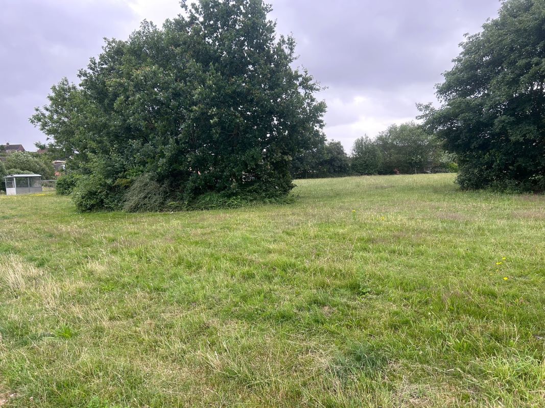 1.43 Acres of Land South of Blackbird Avenue, Worksop, S81 8WB