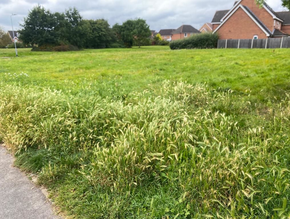 0.21 Acres of Land North of Blackbird Avenue, Worksop, S81 8WB