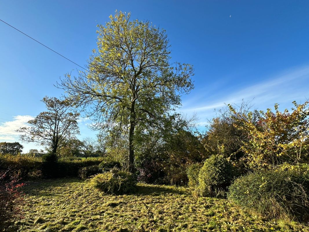 Springfield Lodge, Fiskerton Road, Rolleston, Newark, Nottinghamshire, NG23 5SH
