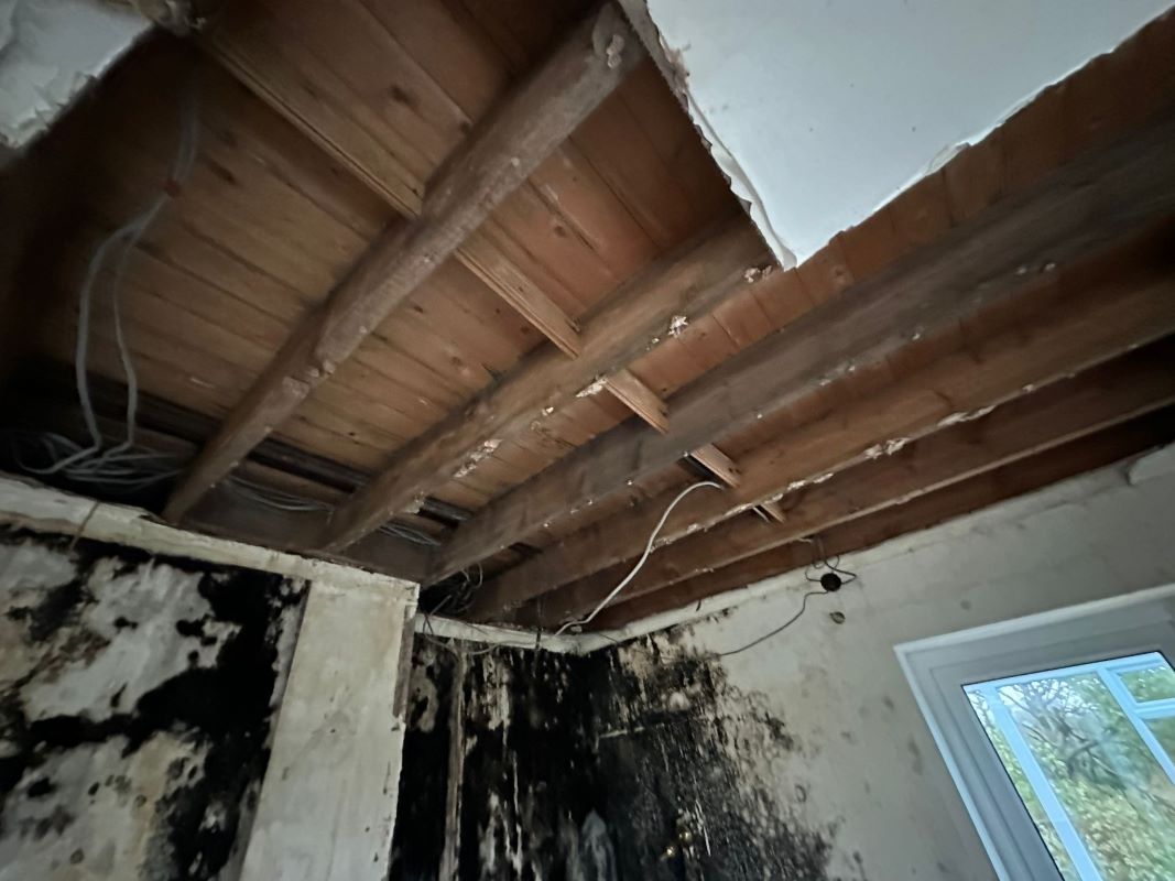 Springfield Lodge, Fiskerton Road, Rolleston, Newark, Nottinghamshire, NG23 5SH
