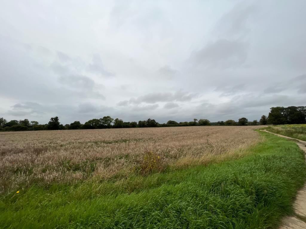 14.38 Acres of Land off, Down Ampney Road, Down Ampney, Gloucestershire, GL7 5QZ