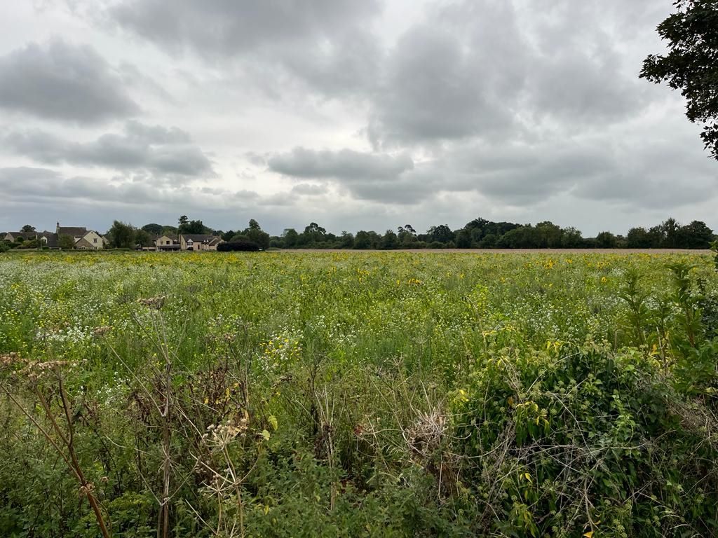 14.38 Acres of Land off, Down Ampney Road, Down Ampney, Gloucestershire, GL7 5QZ