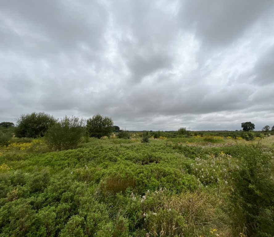 18.79 Acres of Land off, Down Ampney Road, Down Ampney, Gloucestershire, GL7 5QZ