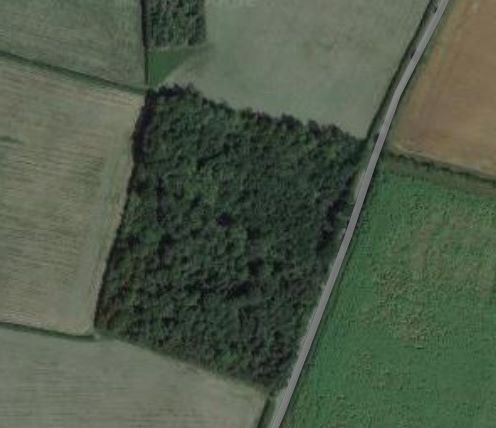 8.96 Acres of Woodland at Top Covert, Woodgate Lane, Beckingham, Newark, LN5 0RW