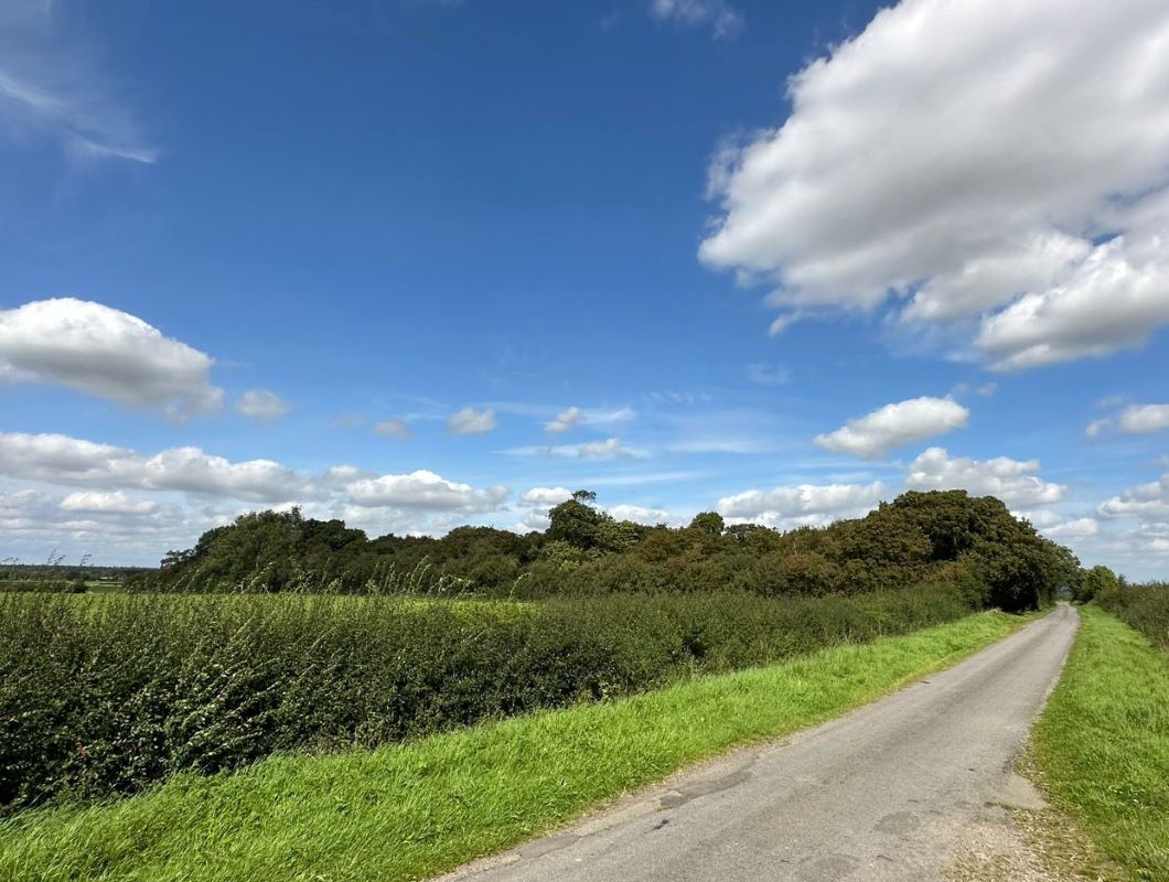 8.96 Acres of Woodland at Top Covert, Woodgate Lane, Beckingham, Newark, LN5 0RW