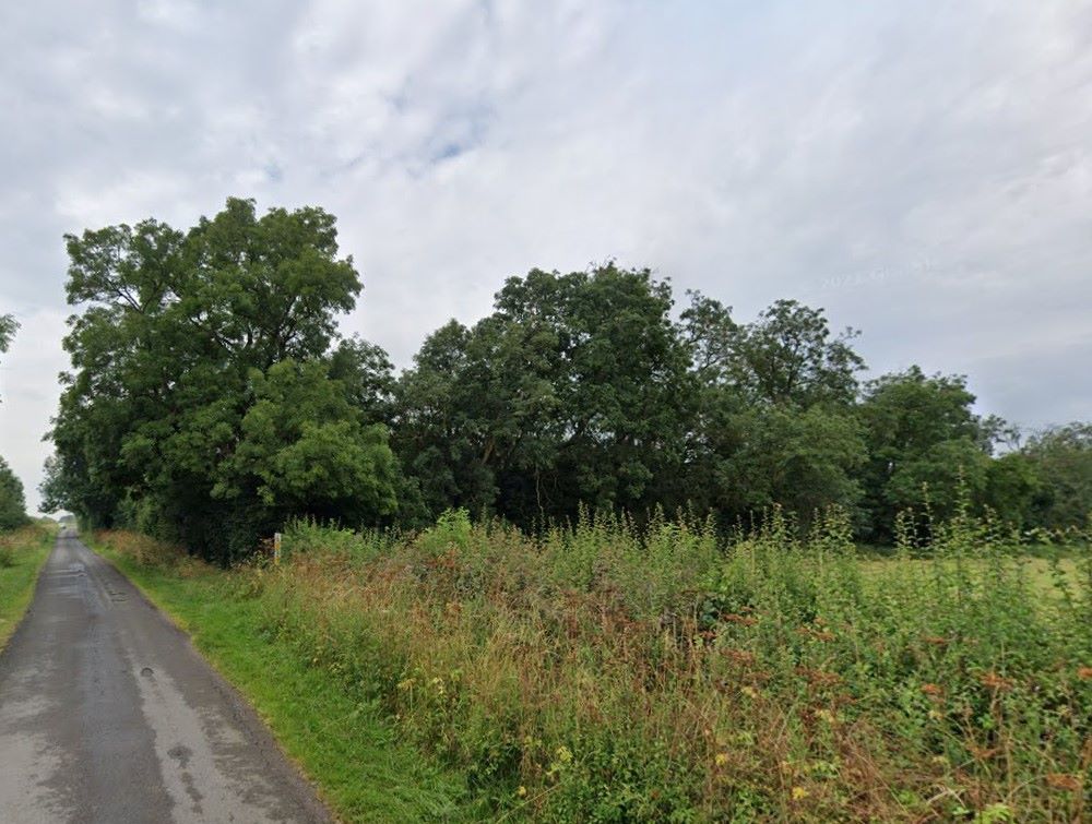 8.96 Acres of Woodland at Top Covert, Woodgate Lane, Beckingham, Newark, LN5 0RW