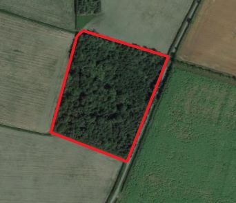8.96 Acres of Woodland at Top Covert, Woodgate Lane, Beckingham, Newark, LN5 0RW