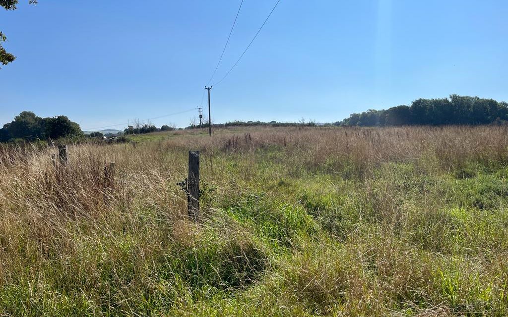 Calbourne Water Mill, Newport Road, Calbourne, Newport, Isle of Wight, PO30 4JN
