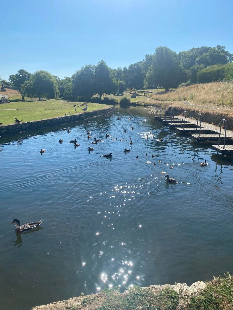 Calbourne Water Mill, Newport Road, Calbourne, Newport, Isle of Wight, PO30 4JN