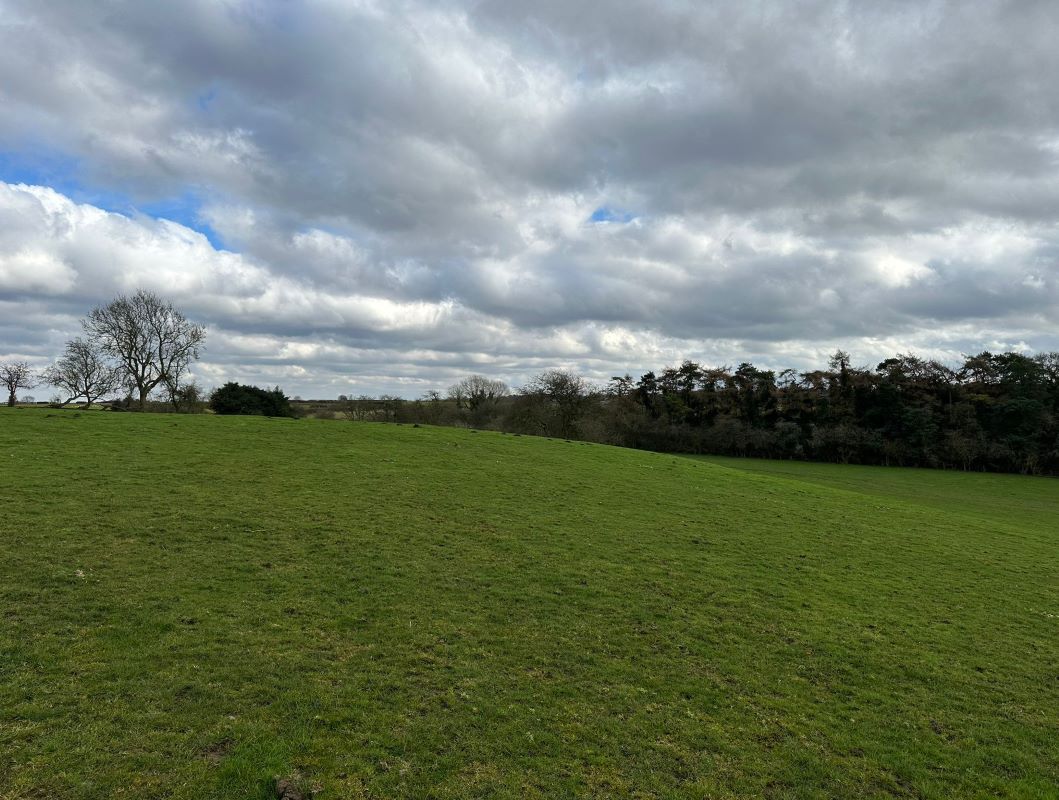 Land to the north of, 1 Dawgates Lane, Skegby, Sutton-in-Ashfield, Nottinghamshire, NG17 3DA