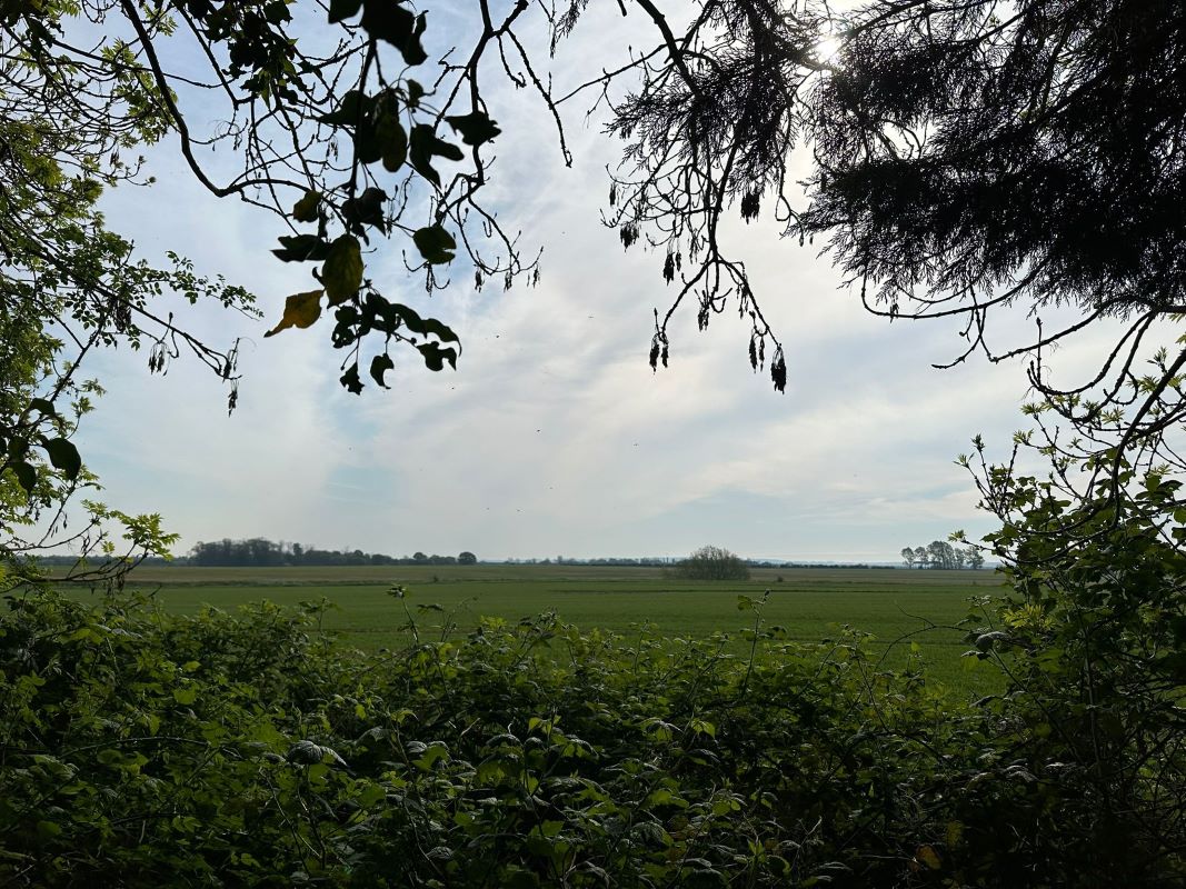Barnby Grange, Back Lane, Barnby in the Willows, Newark, Nottinghamshire, NG24 2SD