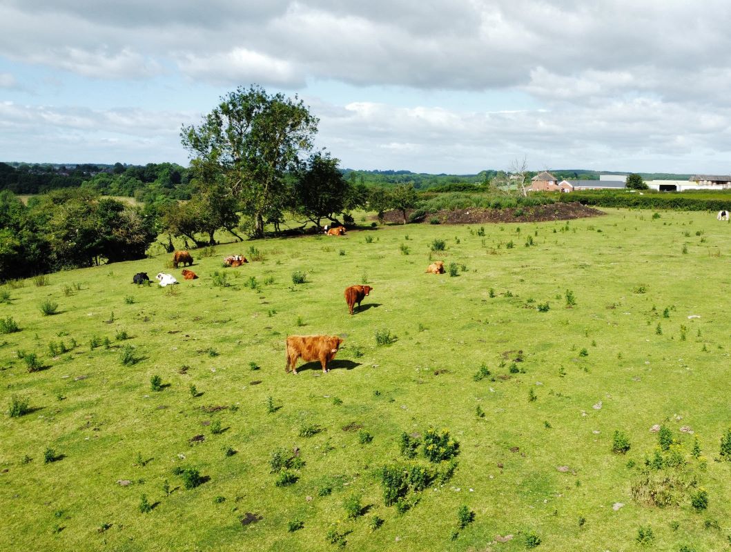 Land to the north of, 1 Dawgates Lane, Skegby, Sutton-in-Ashfield, Nottinghamshire, NG17 3DA