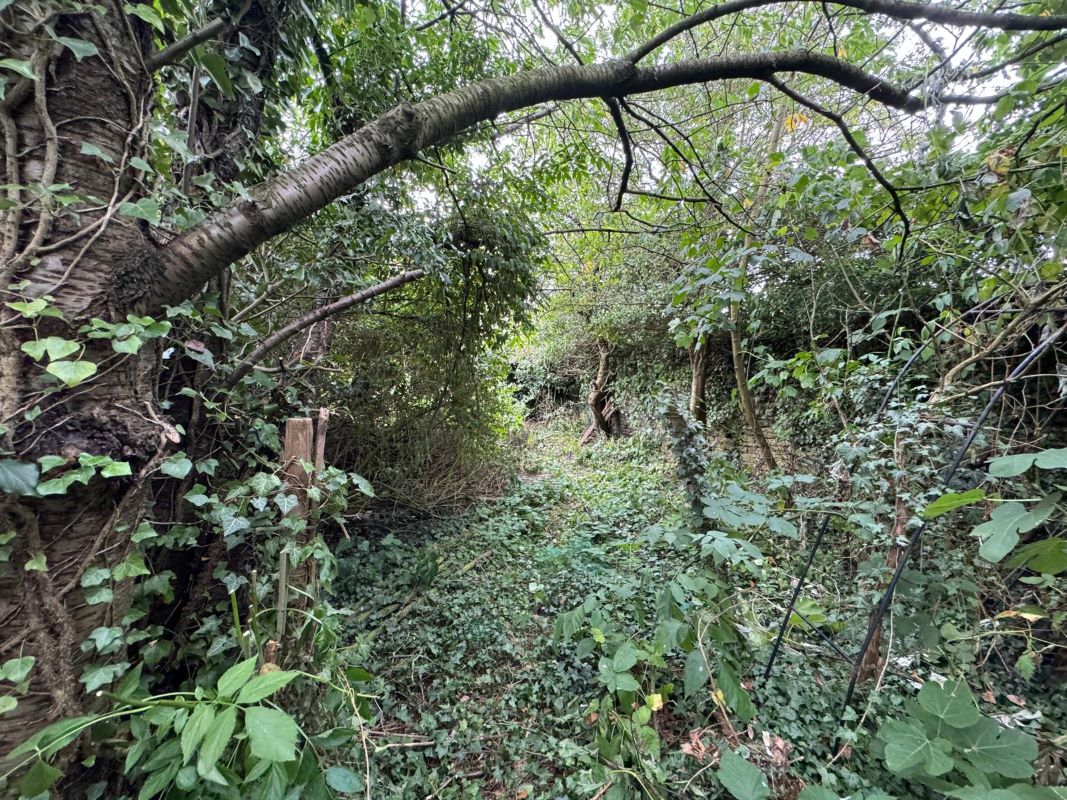 Old Hall Cottage, Old Hall Lane, Whitwell, Worksop, Nottinghamshire, S80 4QX