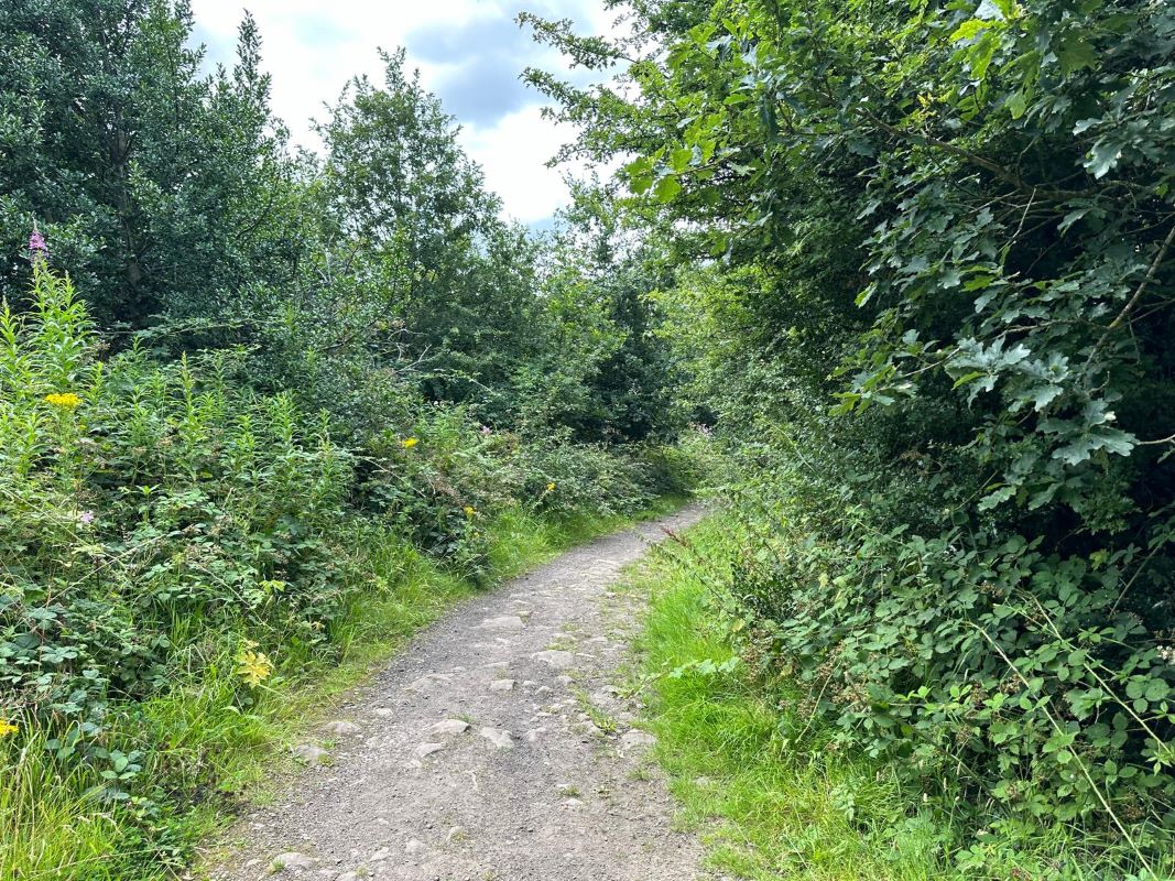 15 Acres of Land off Engine Lane, Tyldesley, Wigan, M29 8NB