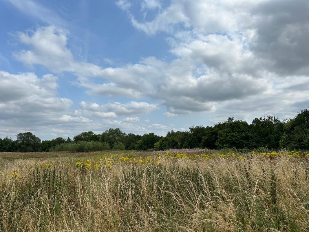 15 Acres of Land off Engine Lane, Tyldesley, Wigan, M29 8NB