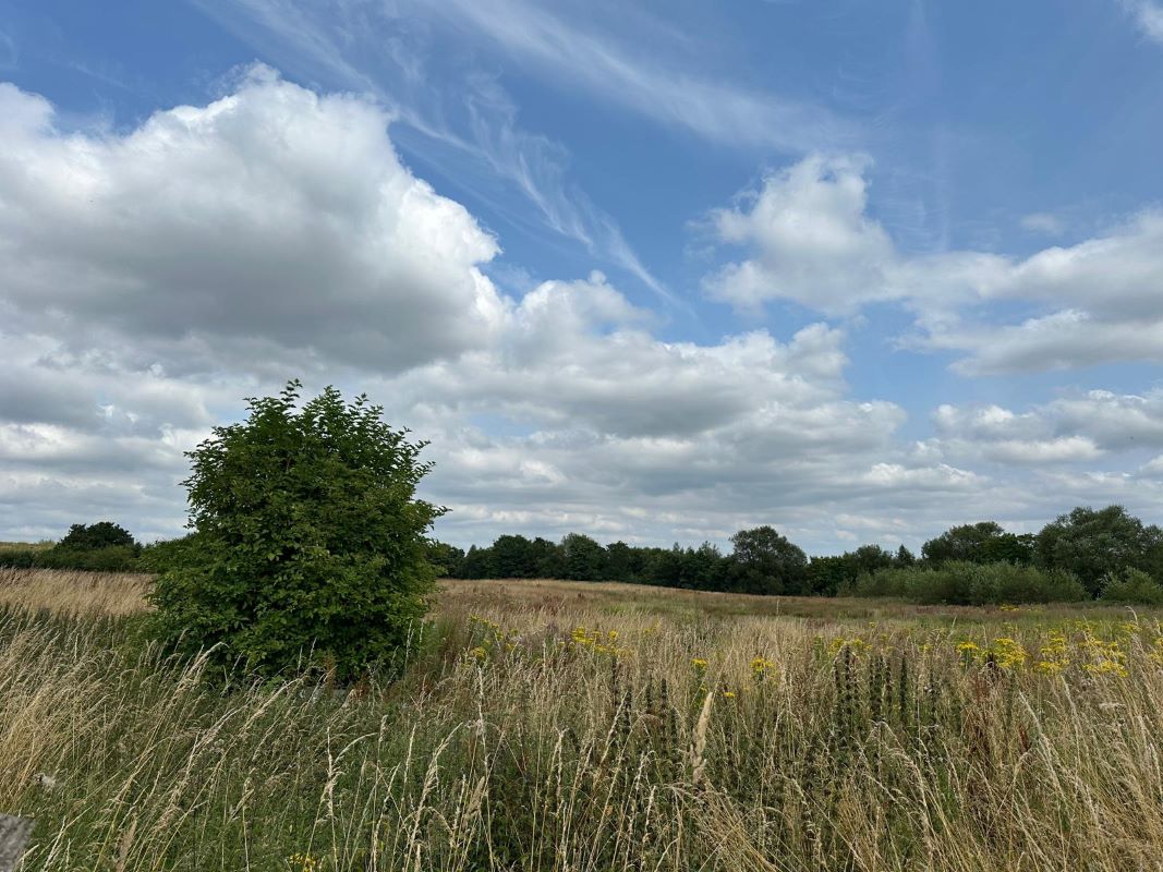 15 Acres of Land off Engine Lane, Tyldesley, Wigan, M29 8NB