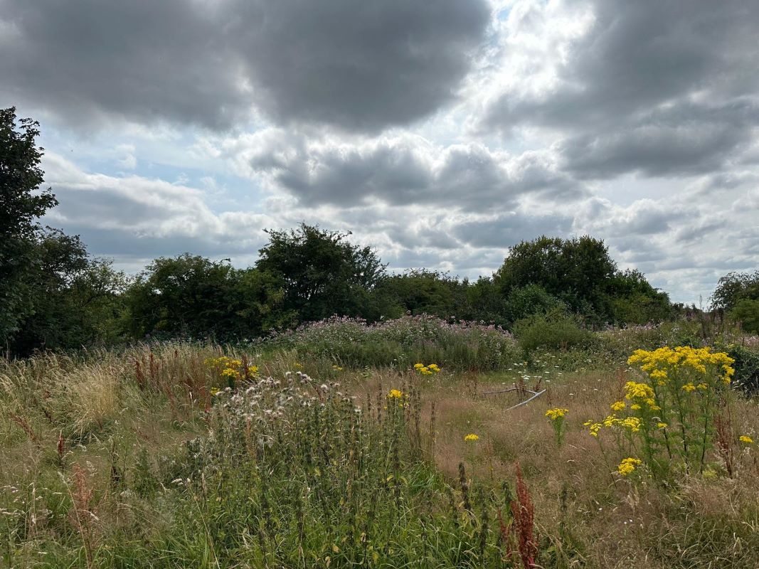 15 Acres of Land off Engine Lane, Tyldesley, Wigan, M29 8NB