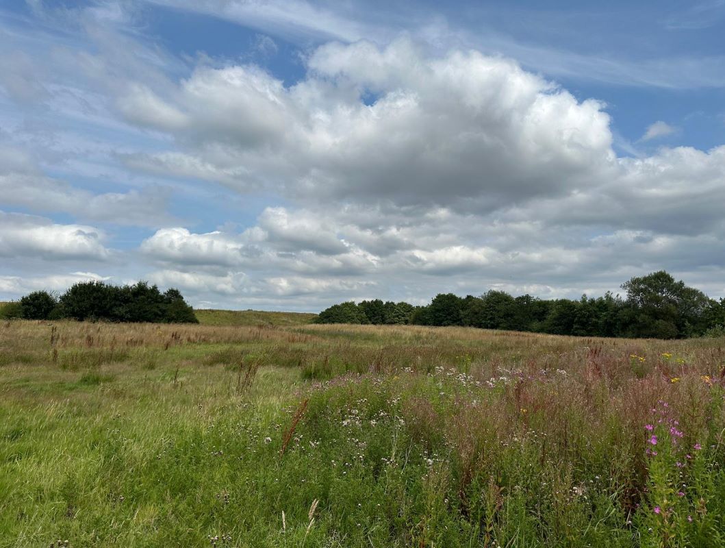 15 Acres of Land off Engine Lane, Tyldesley, Wigan, M29 8NB