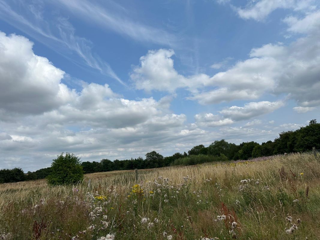 15 Acres of Land off Engine Lane, Tyldesley, Wigan, M29 8NB