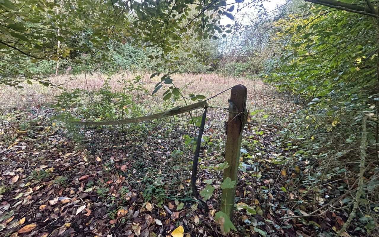 The Old Rectory, St. Marys Lane, Claxby, Market Rasen, Lincolnshire, LN8 3YX