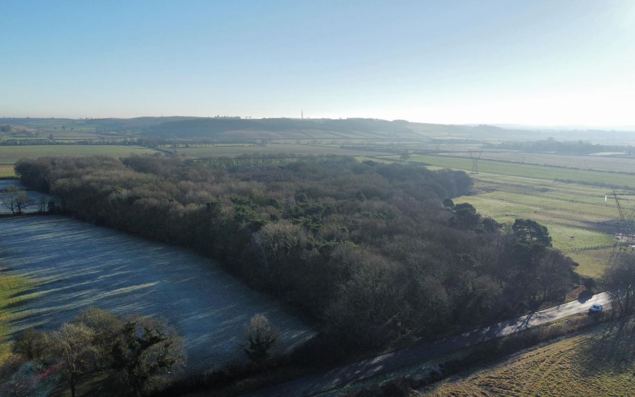 24.82 acres of Woodland & Pond, Retford Road, Haughton, DN22 8DY