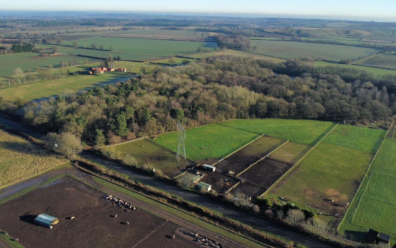 24.82 acres of Woodland & Pond, Retford Road, Haughton, DN22 8DY