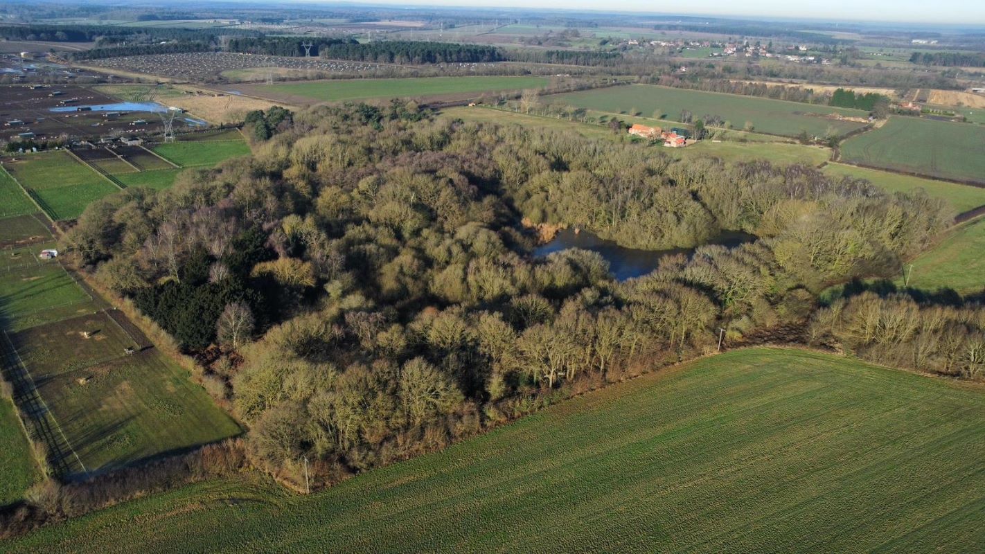 24.82 acres of Woodland & Pond, Retford Road, Haughton, DN22 8DY