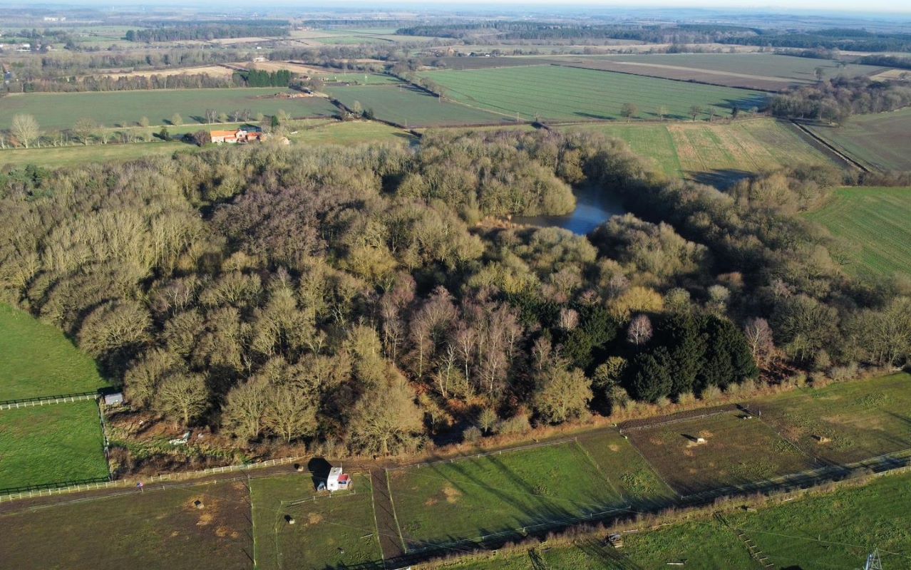 24.82 acres of Woodland & Pond, Retford Road, Haughton, DN22 8DY