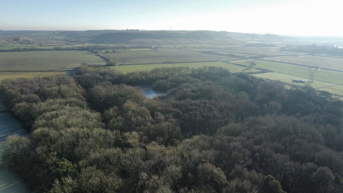 24.82 acres of Woodland & Pond, Retford Road, Haughton, DN22 8DY