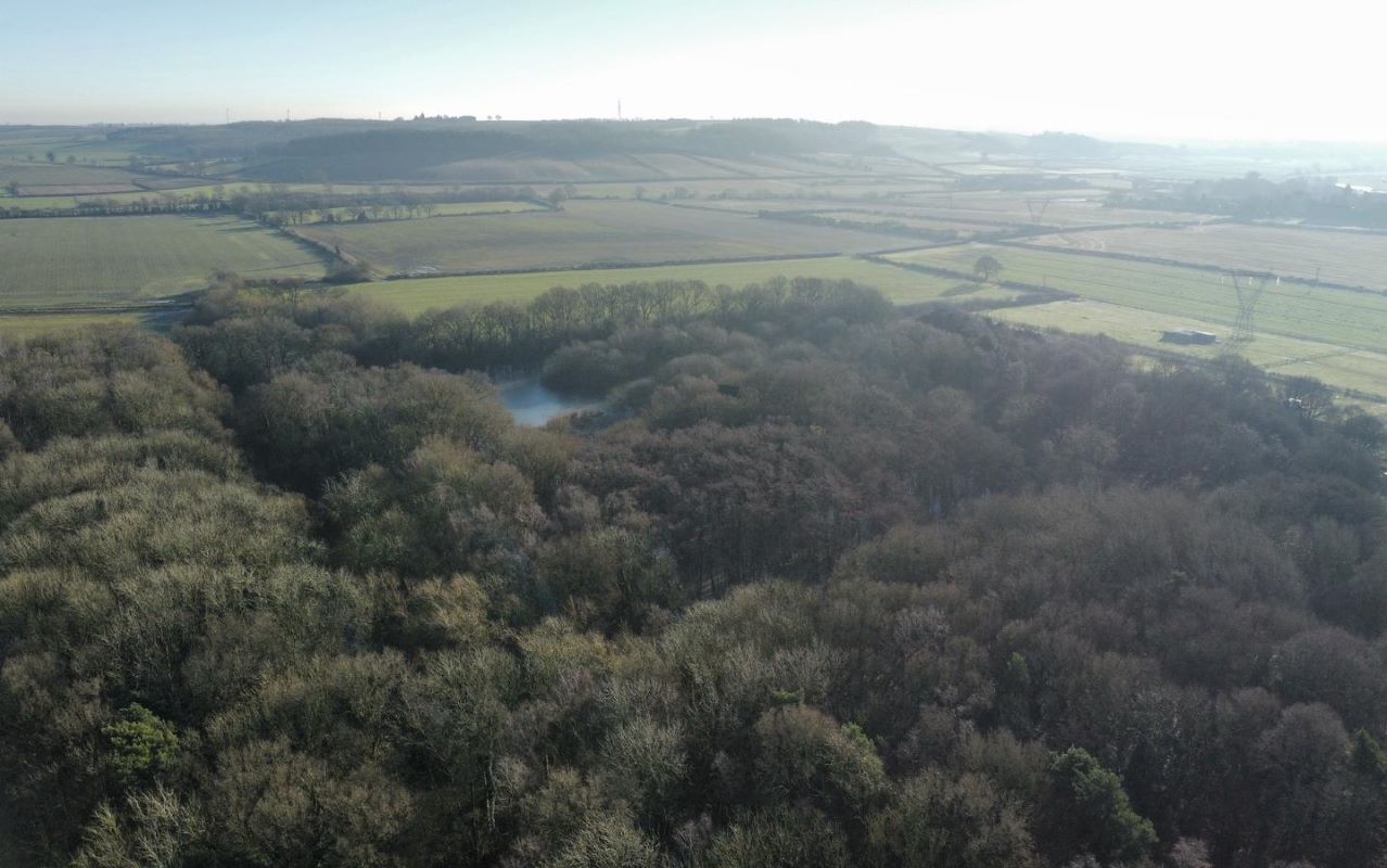 24.82 acres of Woodland & Pond, Retford Road, Haughton, DN22 8DY