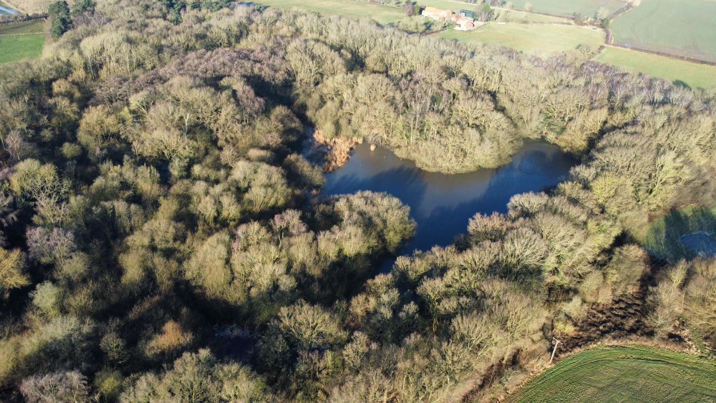 24.82 acres of Woodland & Pond, Retford Road, Haughton, DN22 8DY