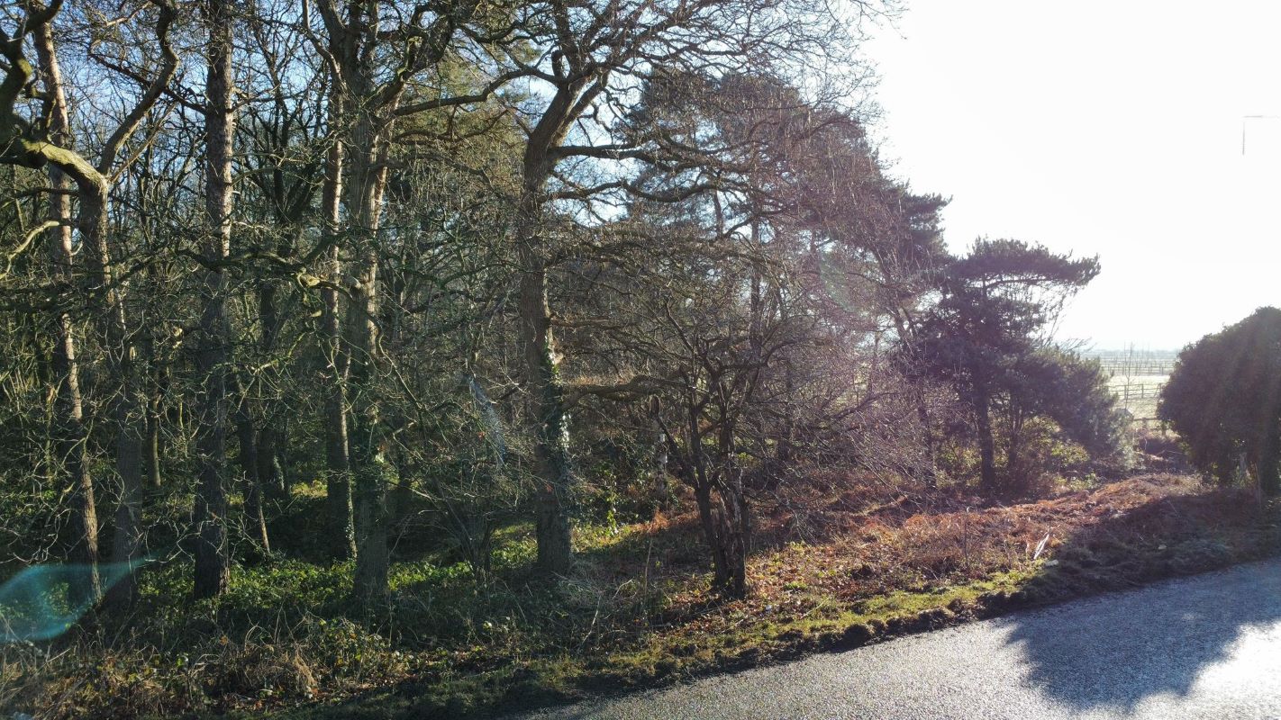 24.82 acres of Woodland & Pond, Retford Road, Haughton, DN22 8DY