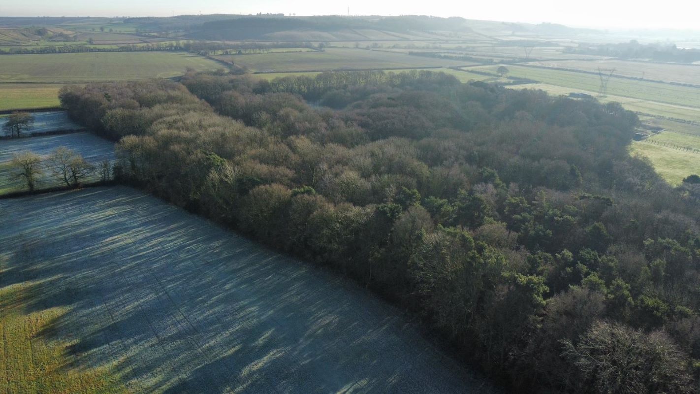 24.82 acres of Woodland & Pond, Retford Road, Haughton, DN22 8DY