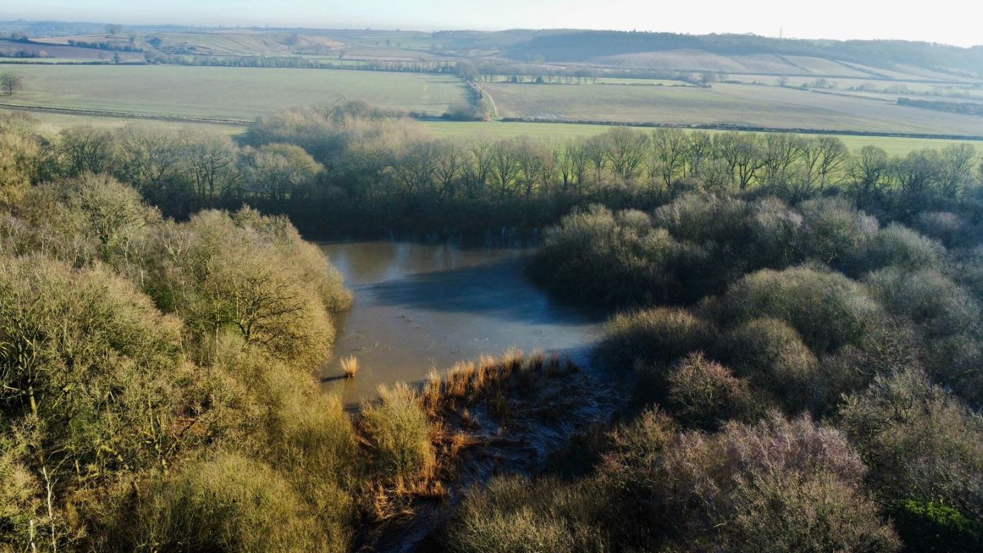 24.82 acres of Woodland & Pond, Retford Road, Haughton, DN22 8DY
