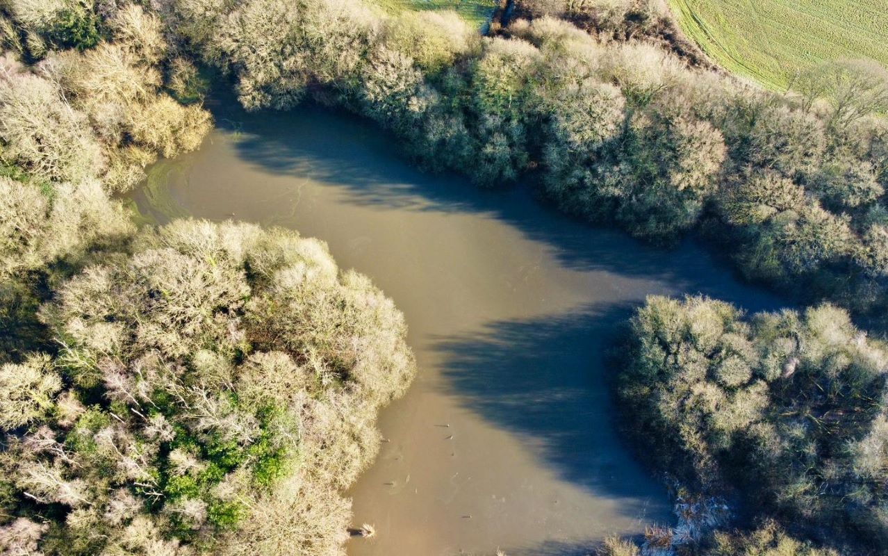 24.82 acres of Woodland & Pond, Retford Road, Haughton, DN22 8DY