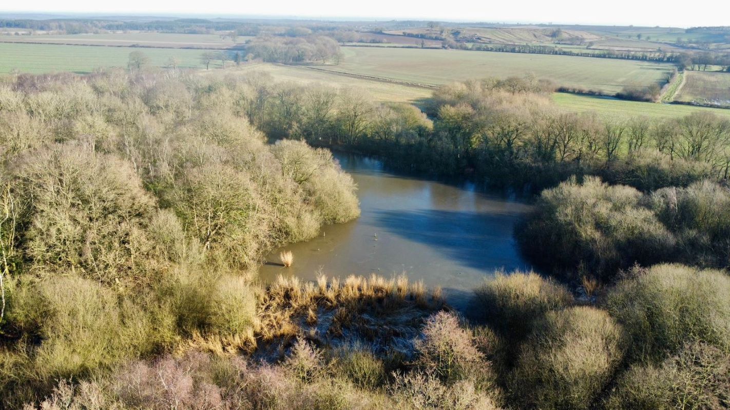 24.82 acres of Woodland & Pond, Retford Road, Haughton, DN22 8DY