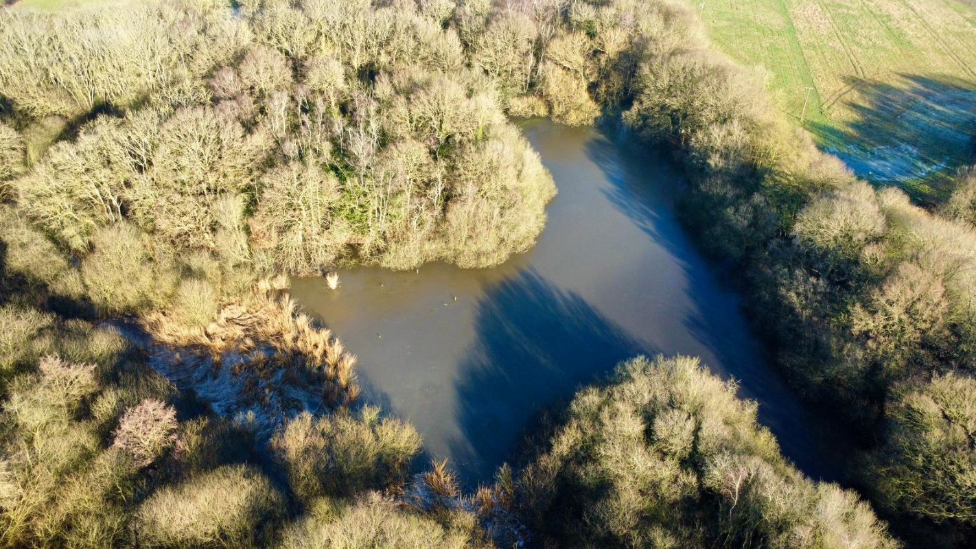 24.82 acres of Woodland & Pond, Retford Road, Haughton, DN22 8DY
