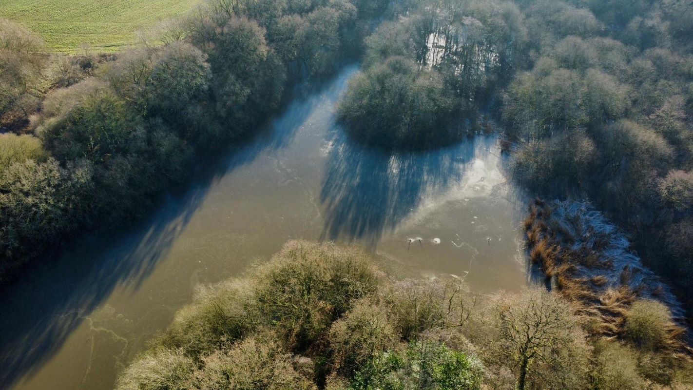 24.82 acres of Woodland & Pond, Retford Road, Haughton, DN22 8DY