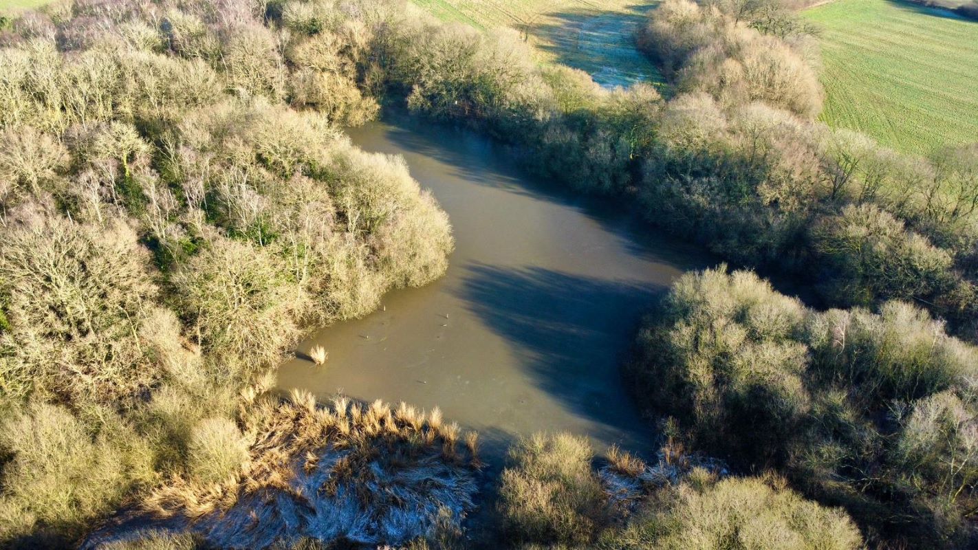24.82 acres of Woodland & Pond, Retford Road, Haughton, DN22 8DY