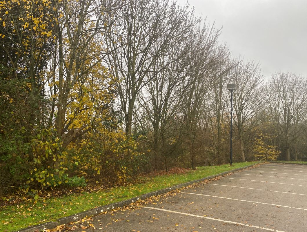 Land lying to the East of Lubbesthorpe Way, Braunstone, Leicester, LE19 1JZ