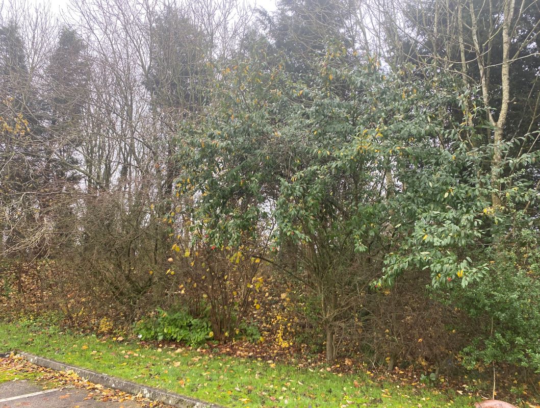 Land lying to the East of Lubbesthorpe Way, Braunstone, Leicester, LE19 1JZ